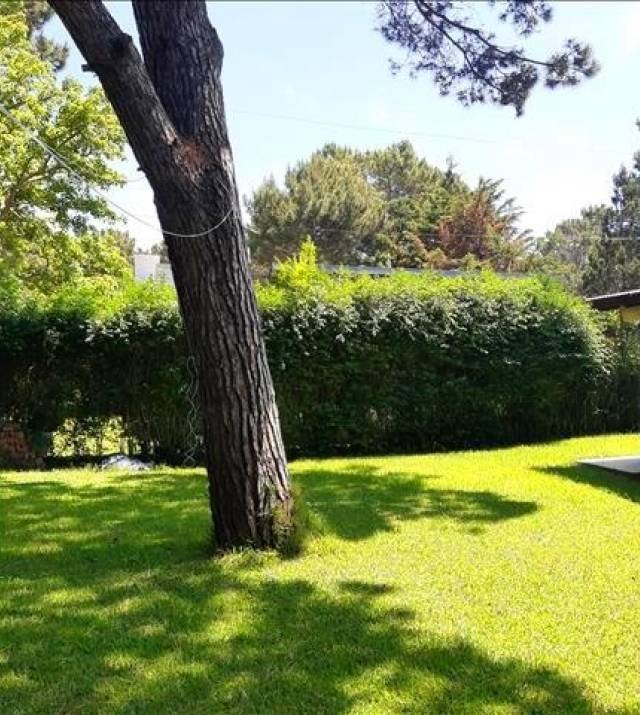 large-1636058408-IMG_20211030_122836454 640x480.jpg